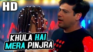 Khula Hai Mera Pinjra Lyrics in Hindi - Kumar Sanu & Alka Yagnik